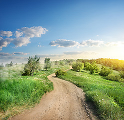 Image showing Fog over the country road