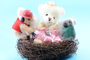 Image showing Nest with a toy Teddy Bear and two Koala