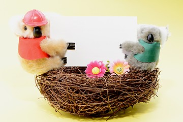 Image showing Two toy koala holding a blank white card on a nest