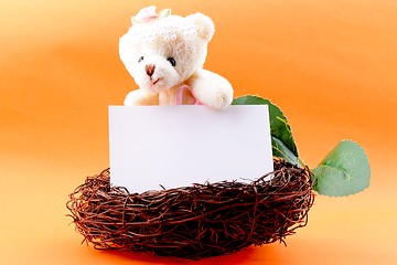 Image showing Nest with a blank card and Teddy bear