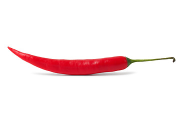 Image showing Red hot chili pepper