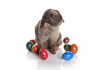 Image showing Easter bunny with colorful eggs