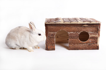 Image showing White rabbit with wooden house