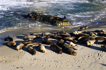 Image showing California Seal
