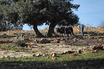 Image showing Landscape in Morocco