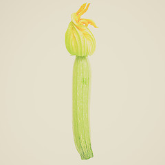 Image showing Retro look Courgettes zucchini