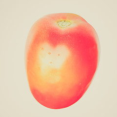 Image showing Retro look Tomato isolated