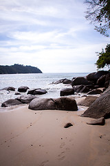 Image showing Beautiful tropical beach with lush vegetation