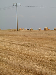 Image showing Bales of straw