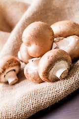 Image showing Fresh brown Agaricus mushrooms