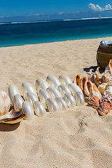 Image showing Conchs and seashells for sale on a beach