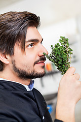 Image showing Chef checking the freshness of a bunch of herbs