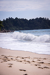 Image showing Beautiful tropical beach with lush vegetation