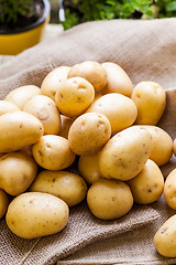 Image showing Farm fresh  potatoes on a hessian sack