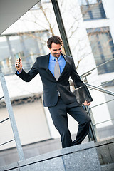 Image showing Smiling businessman walking down stairs