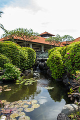 Image showing Person swimming in a pool in Bali