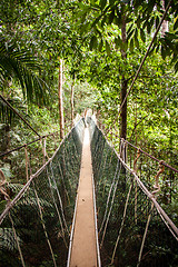 Image showing Narrow cable suspension footbridge