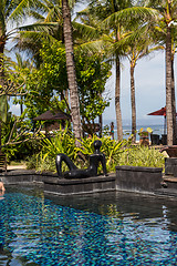 Image showing Person swimming in a pool in Bali