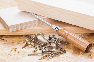 Image showing Phillips head screwdriver and wood screws