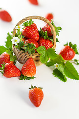 Image showing Fresh ripe strawberries with leaves and blossom