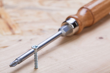 Image showing Phillips head screwdriver and wood screws