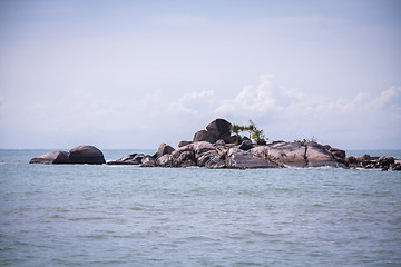 Image showing Beautiful tropical beach with lush vegetation