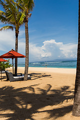 Image showing Beach umbrellas on a beautiful beach in Bali