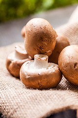 Image showing Fresh brown Agaricus mushrooms