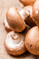 Image showing Fresh brown Agaricus mushrooms