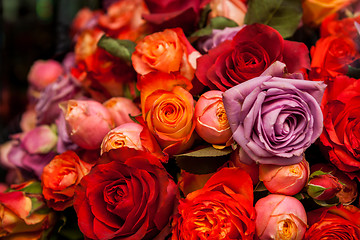 Image showing Bunches of colorful roses