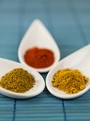 Image showing Dried ground spices in ceramic spoons