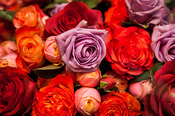 Image showing Bunches of colorful roses