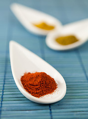 Image showing Dried ground spices in ceramic spoons