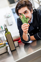 Image showing Chef checking the freshness of a bunch of herbs