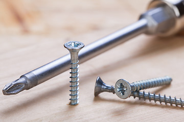 Image showing Phillips head screwdriver and wood screws