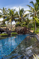 Image showing Person swimming in a pool in Bali