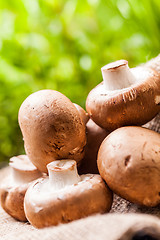 Image showing Fresh brown Agaricus mushrooms