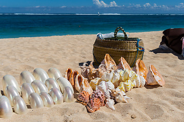Image showing Conchs and seashells for sale on a beach