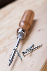 Image showing Phillips head screwdriver and wood screws