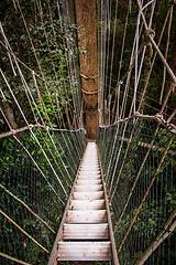 Image showing Narrow cable suspension footbridge