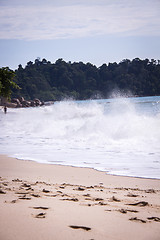 Image showing Beautiful tropical beach with lush vegetation