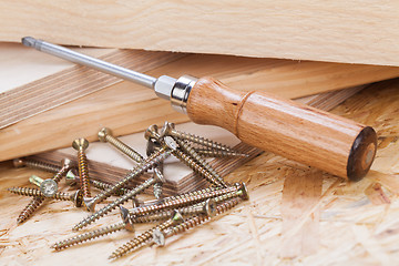 Image showing Phillips head screwdriver and wood screws