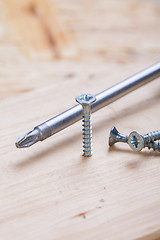 Image showing Phillips head screwdriver and wood screws