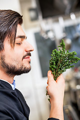 Image showing Chef checking the freshness of a bunch of herbs