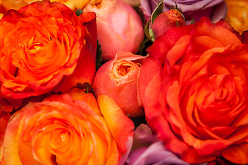 Image showing Bunches of colorful roses