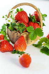 Image showing Fresh ripe strawberries with leaves and blossom