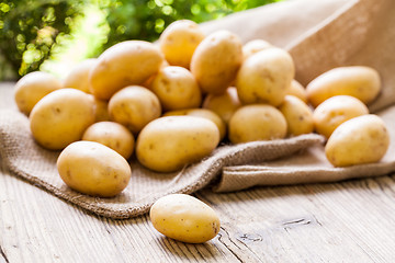 Image showing Farm fresh  potatoes on a hessian sack