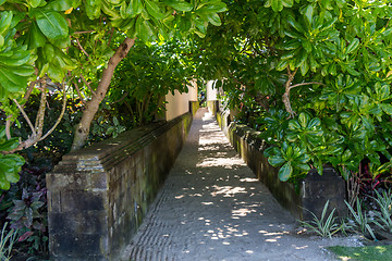 Image showing Quiet village lane with lush vegetation in Bali