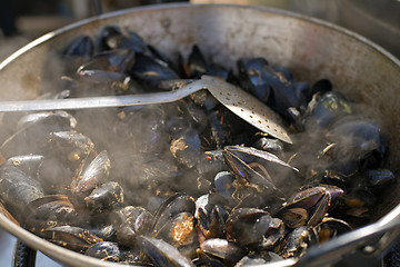 Image showing Mussels