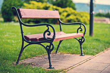 Image showing Green grass background